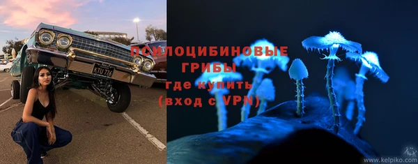 каннабис Алзамай