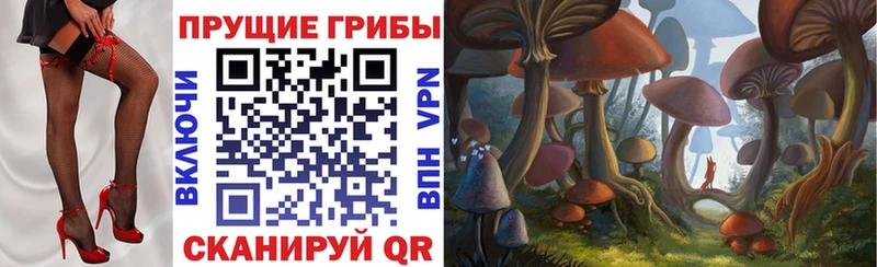 Галлюциногенные грибы MAGIC MUSHROOMS  что такое наркотик  Ревда 